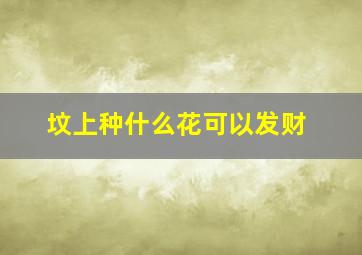 坟上种什么花可以发财