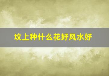 坟上种什么花好风水好