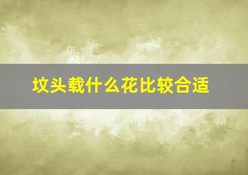 坟头载什么花比较合适