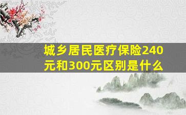 城乡居民医疗保险240元和300元区别是什么