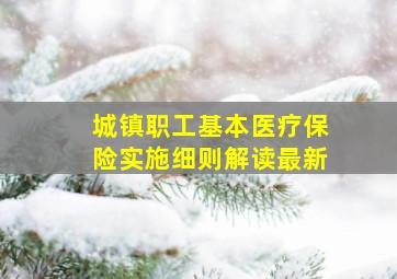 城镇职工基本医疗保险实施细则解读最新