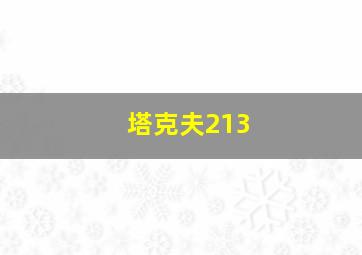 塔克夫213