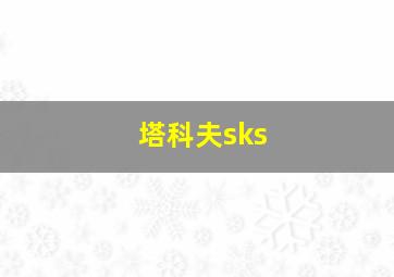 塔科夫sks