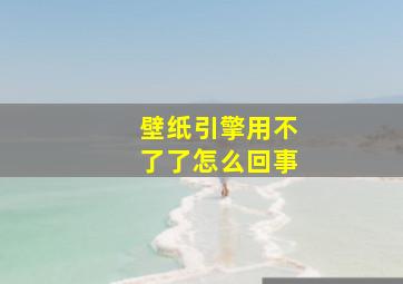 壁纸引擎用不了了怎么回事