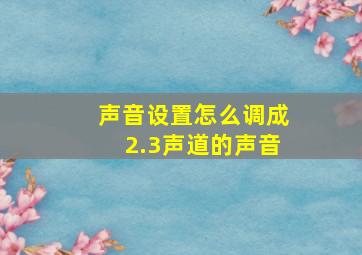 声音设置怎么调成2.3声道的声音