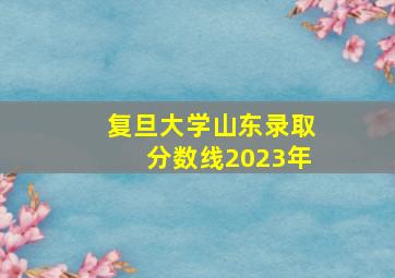 复旦大学山东录取分数线2023年