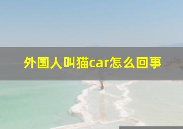 外国人叫猫car怎么回事