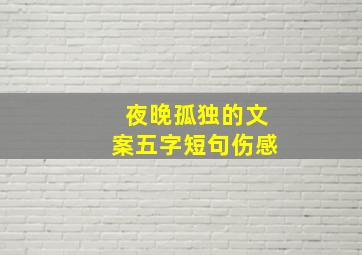 夜晚孤独的文案五字短句伤感