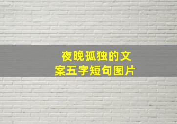 夜晚孤独的文案五字短句图片