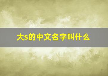 大s的中文名字叫什么