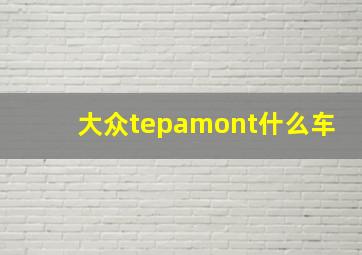 大众tepamont什么车