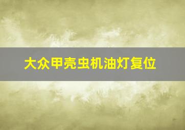 大众甲壳虫机油灯复位