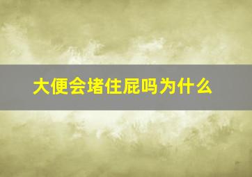 大便会堵住屁吗为什么