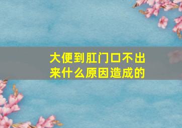 大便到肛门口不出来什么原因造成的