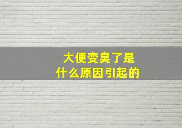 大便变臭了是什么原因引起的