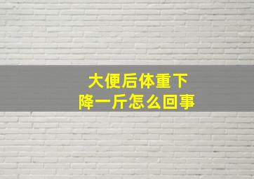 大便后体重下降一斤怎么回事