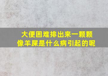 大便困难排出来一颗颗像羊屎是什么病引起的呢