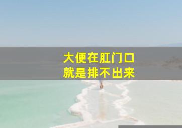 大便在肛门口就是排不出来