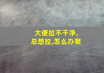 大便拉不干净,总想拉,怎么办呢