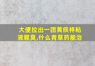 大便拉出一团黄痰样粘液腥臭,什么青草药能治