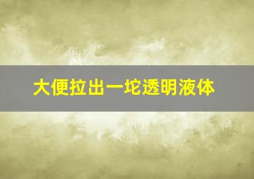 大便拉出一坨透明液体