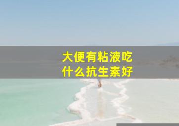 大便有粘液吃什么抗生素好