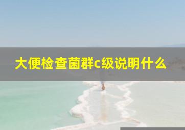 大便检查菌群c级说明什么