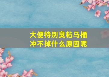 大便特别臭粘马桶冲不掉什么原因呢