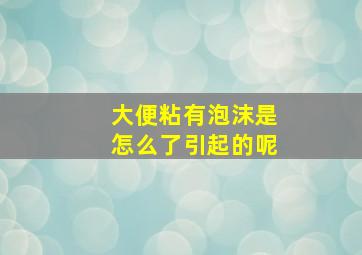 大便粘有泡沫是怎么了引起的呢