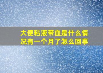 大便粘液带血是什么情况有一个月了怎么回事