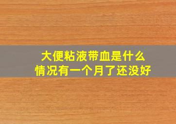 大便粘液带血是什么情况有一个月了还没好