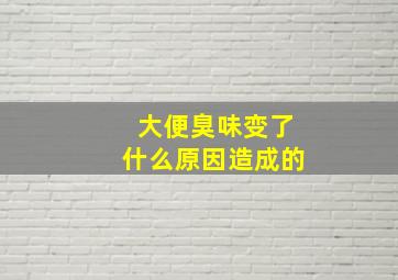 大便臭味变了什么原因造成的