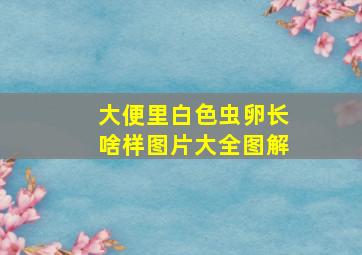 大便里白色虫卵长啥样图片大全图解