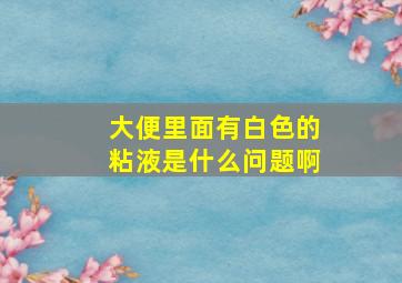 大便里面有白色的粘液是什么问题啊