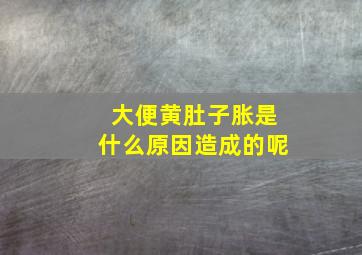 大便黄肚子胀是什么原因造成的呢