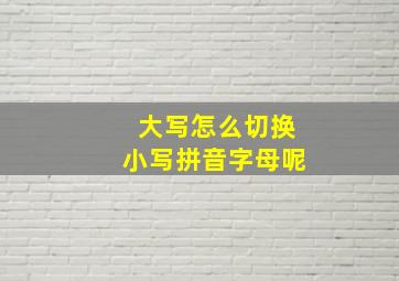 大写怎么切换小写拼音字母呢