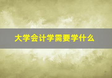 大学会计学需要学什么