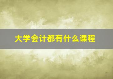 大学会计都有什么课程