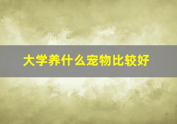 大学养什么宠物比较好