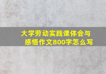 大学劳动实践课体会与感悟作文800字怎么写