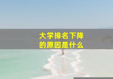 大学排名下降的原因是什么