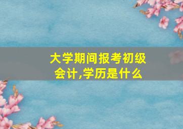 大学期间报考初级会计,学历是什么