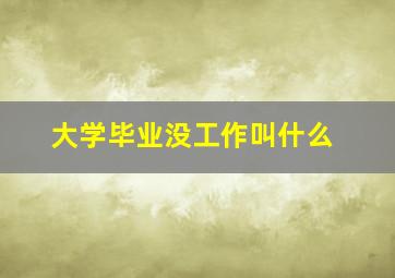 大学毕业没工作叫什么