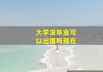 大学没毕业可以出国吗现在