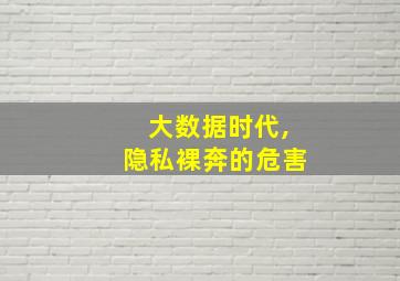 大数据时代,隐私裸奔的危害