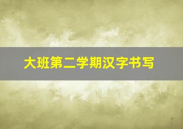 大班第二学期汉字书写