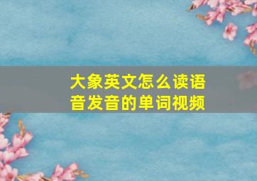 大象英文怎么读语音发音的单词视频