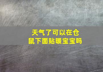 天气了可以在仓鼠下面贴暖宝宝吗