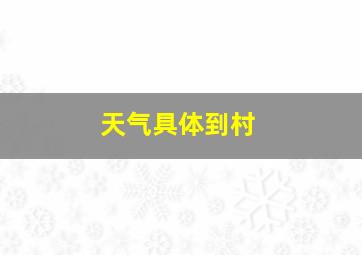 天气具体到村