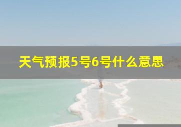 天气预报5号6号什么意思